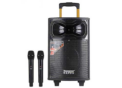 Loa kéo Temeisheng QX-0831, loa gỗ hát karaoke di động cỡ 3 tấc