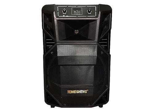 Loa kéo Temeisheng SL18-02, loa karaoke 5 tấc, công suất cực khủng