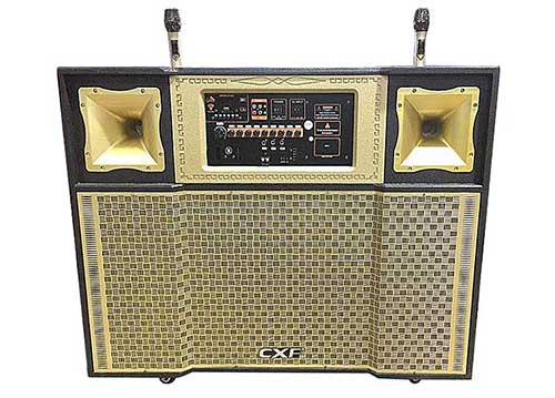 Loa kéo tủ CXF 8900N, loa 2 bass 4 tấc