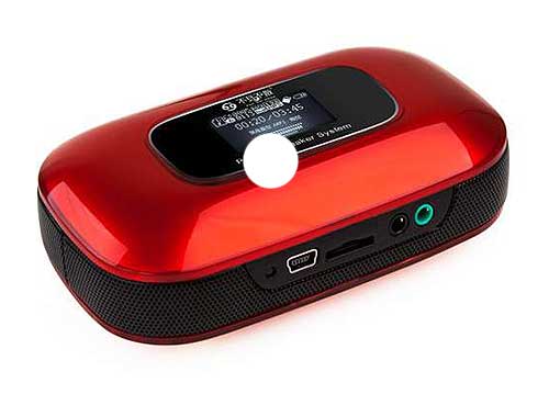 Loa Thẻ Nhớ SeeMe Here LV510