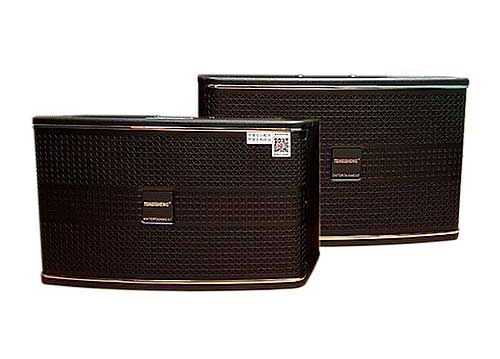 Loa treo tường Temeisheng T8-1, loa dùng điện, công suất max 450W