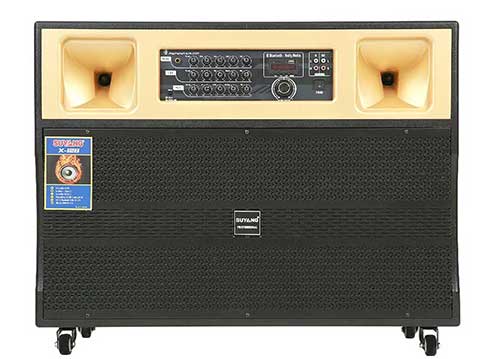 Loa tủ điện Suyang K-212, có kèm theo 2 mic UHF