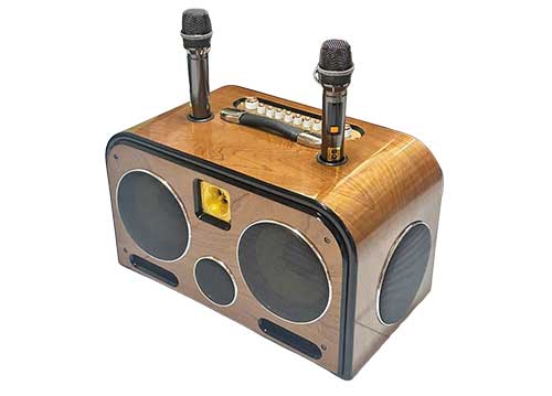 Loa xách tay Soundbox S28Plus, 2 bass 20