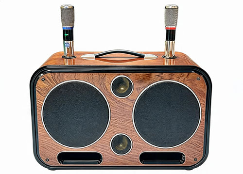 Loa xách tay Soundbox S29, 2 bass 20