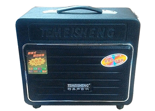 Máy trợ giảng, nghe nhạc Temeisheng A6-09