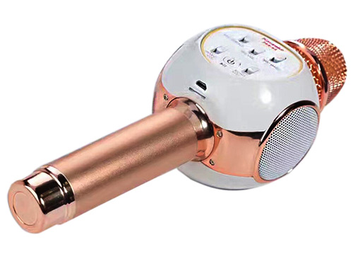 Microphone Karaoke Kèm Loa Anysing ZBX-69