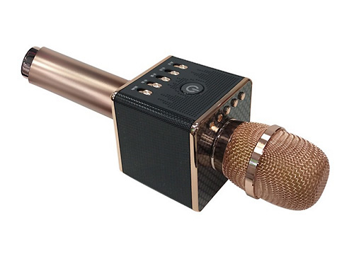 Microphone karaoke kèm loa H8