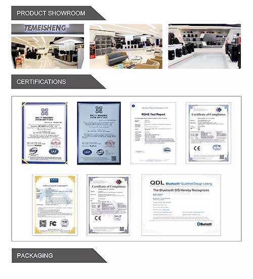 Các chứng nhận về chất lượng của loa di động Temeisheng