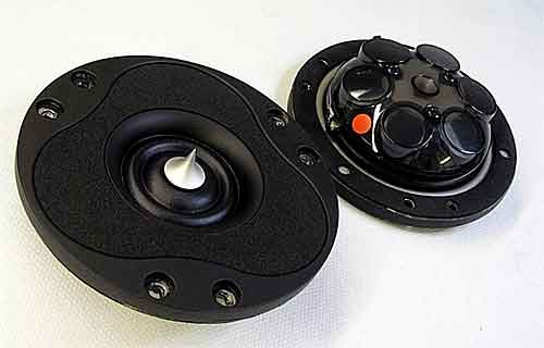 Kiến thức cơ bản và cách phân biệt các loại củ loa