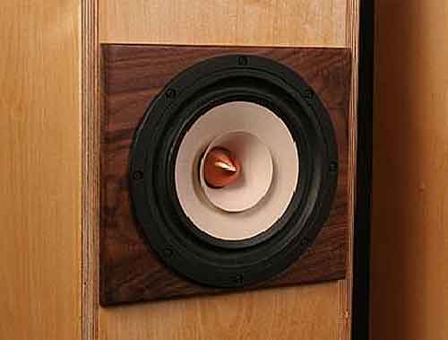 Kiến thức cơ bản và cách phân biệt các loại củ loa