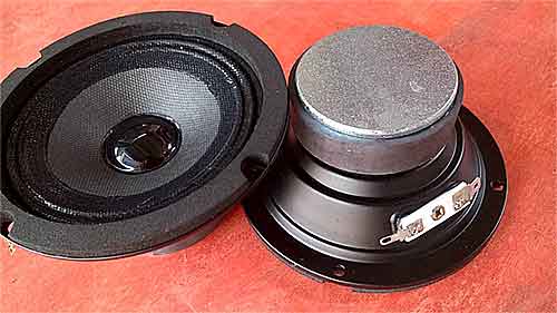 Kiến thức cơ bản và cách phân biệt các loại củ loa