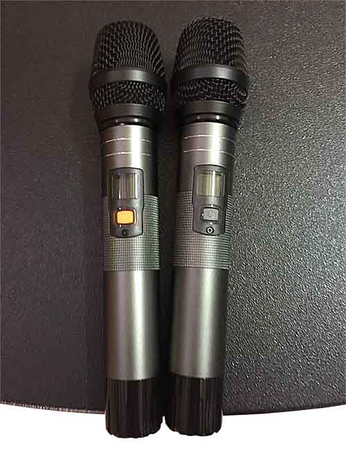 Loa kéo di động Bose DK-18 4 tấc