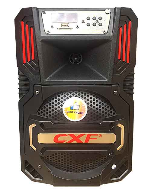 Loa kéo di động CXF 805 2 tấc