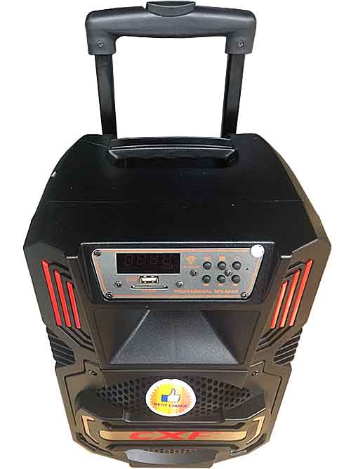 Loa kéo di động CXF 805 2 tấc