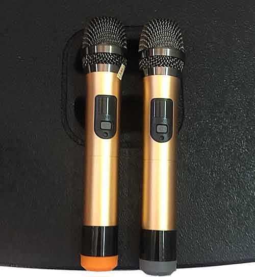 Loa kéo di động Jarguar Suhyoung TX4000 4 tấc