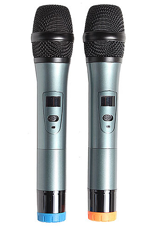 Loa kéo di động ORIS TO-822 bass đôi
