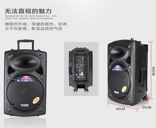 Loa Kéo Di Động Temeisheng DP-2305L