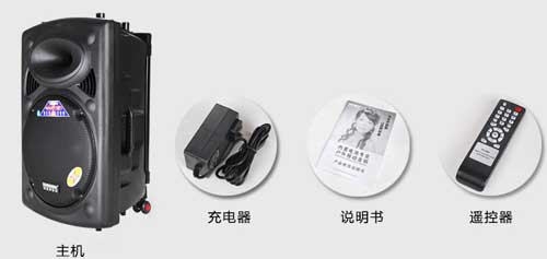 Loa Kéo Di Động Temeisheng DP-2305L