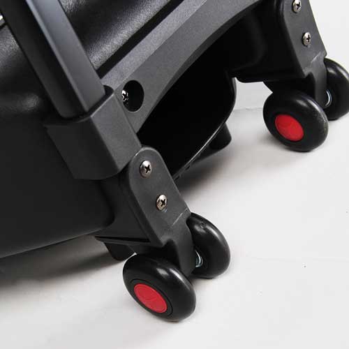 Loa Kéo Di Động Temeisheng DP-2305L