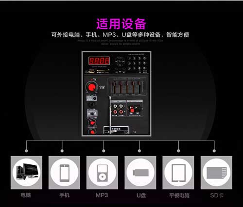 Loa Kéo Di Động Temeisheng DP-2305L