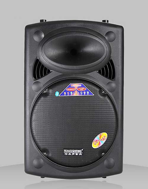 Loa Kéo Di Động Temeisheng DP-2305L