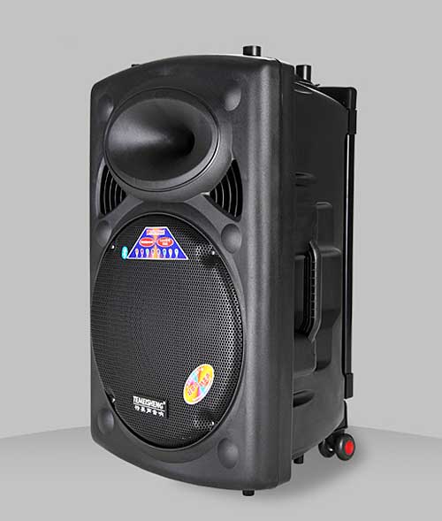 Loa Kéo Di Động Temeisheng DP-2305L