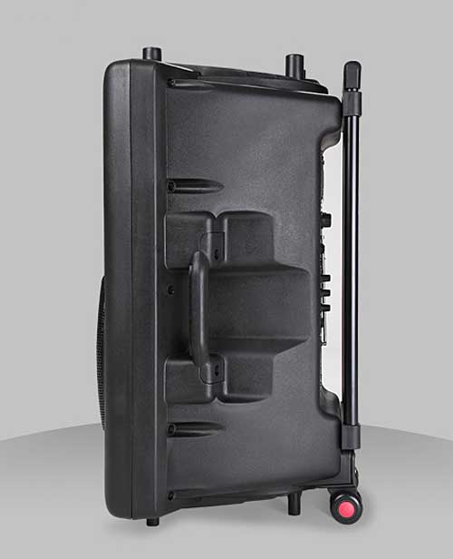 Loa Kéo Di Động Temeisheng DP-2305L