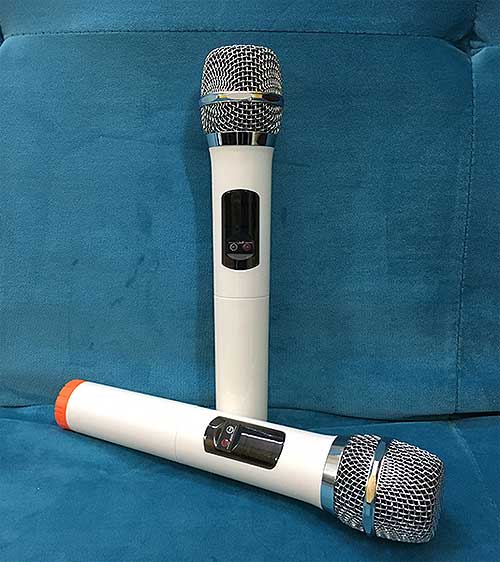 Microphone đa năng Temeisheng W-58