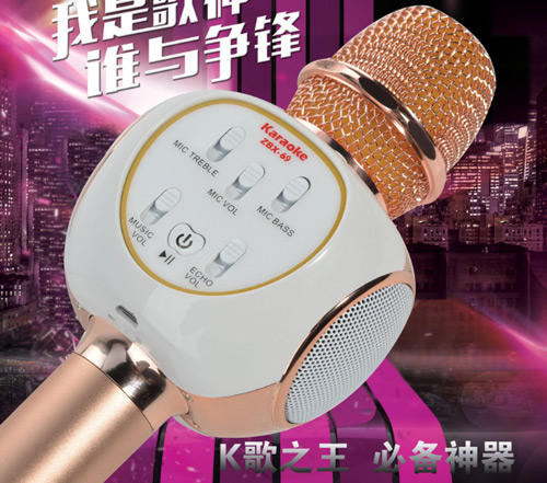 Microphone Karaoke Kem Loa Anysing ZBX-69